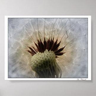 Låt Breeze bära mig Poster