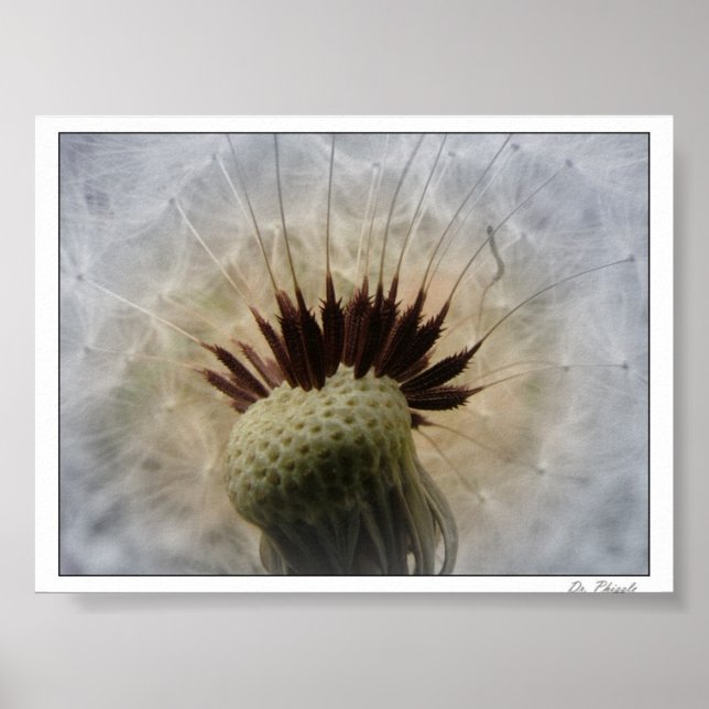 Låt Breeze bära mig Poster (Framsidan)