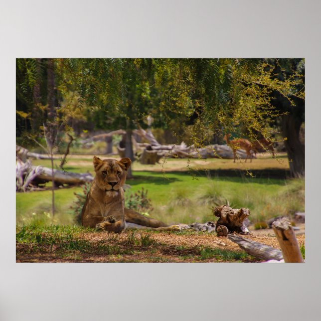 lat dag poster (Framsidan)