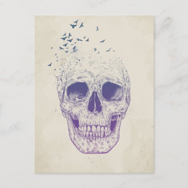 Låt dem flyga vykort (Framsida)