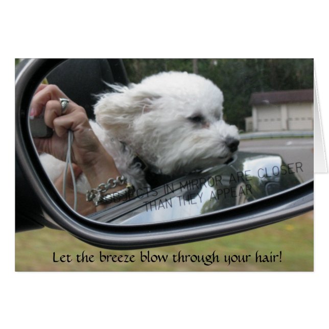 "Låt det blåsa genom luften" Hälsningskort (Framsidan Horizontal)