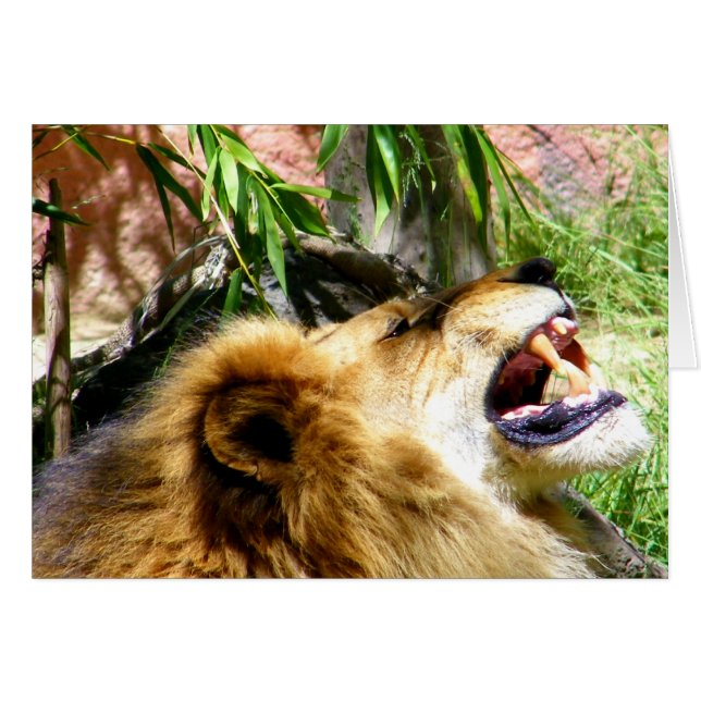 Låt det gå_ hälsningskort (Framsidan Horizontal)