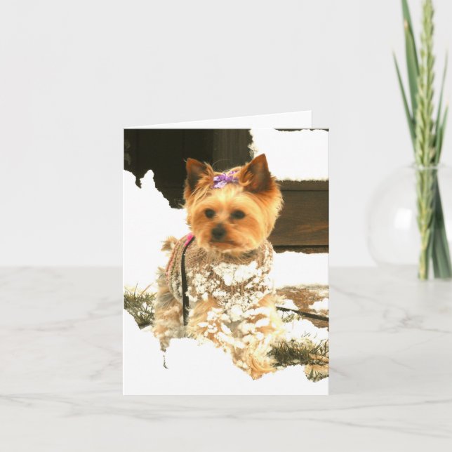 Låt det snöa för att notera kortet helgkort (Framsida)