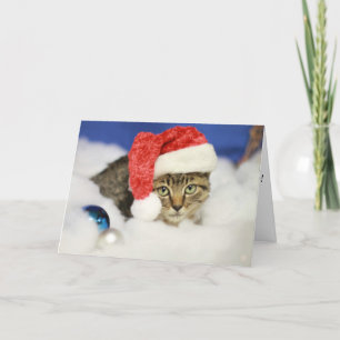 Låt det snöa julkort för katt helgkort
