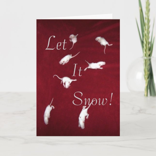 Låt det snöa kort (Framsida)