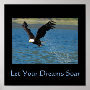 Låt dina drömmar soar poster