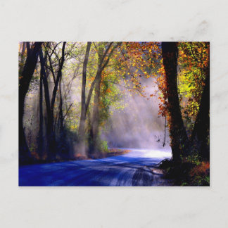 Låt ditt ljus lysa vykort