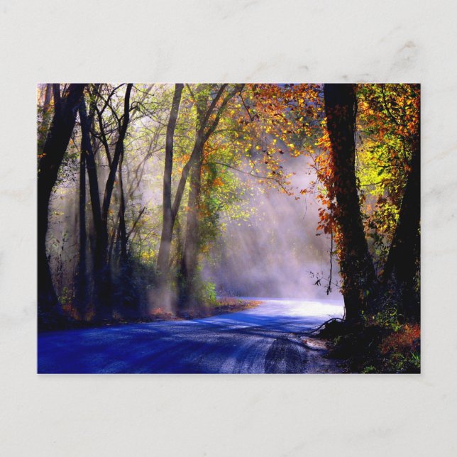 Låt ditt ljus lysa vykort (Framsida)