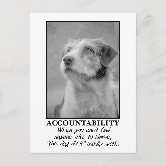 Låt hund ta skulden för era biljetter vykort (Framsida)