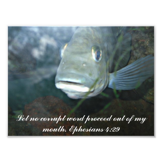 Låt inget skadat foto från ord vara (Framsidan)