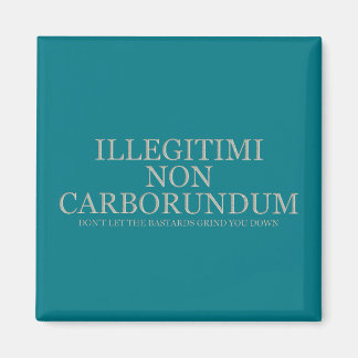 Låt inte bastard skaka ner dig - lätt magnet