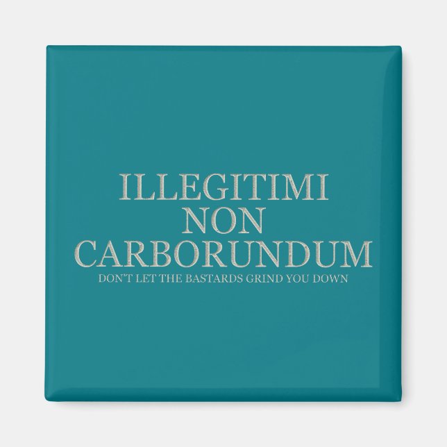 Låt inte bastard skaka ner dig - lätt magnet (Framsidan)