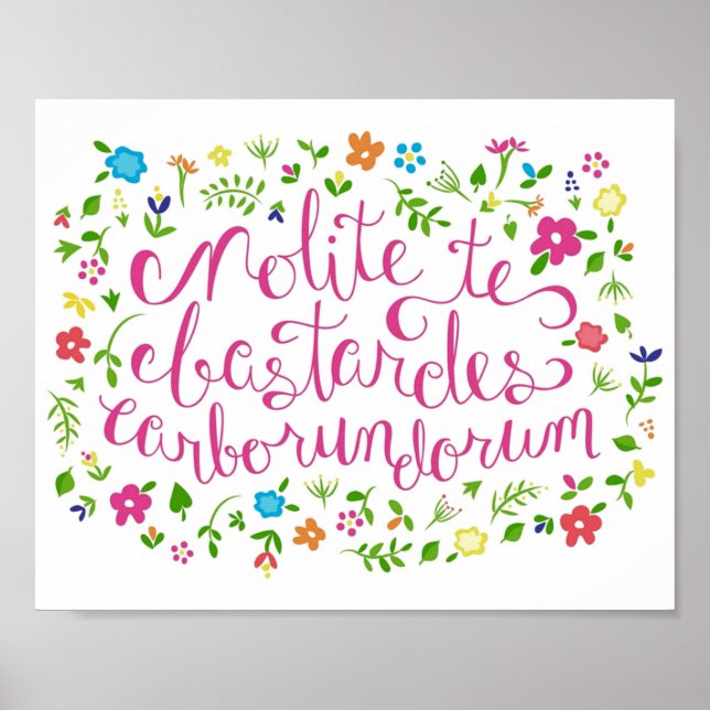 Låt inte Bastards ge dig regnet. Poster (Framsidan)