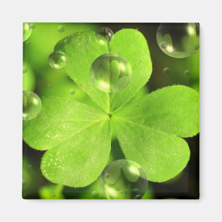 Låt inte Tur Tvätta bort magnet