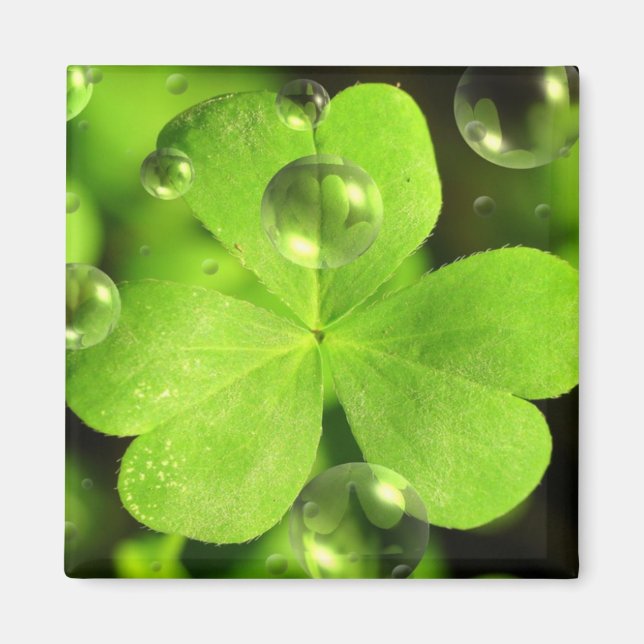 Låt inte Tur Tvätta bort magnet (Framsidan)