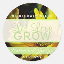 Låt Kärlek odla solrostekar