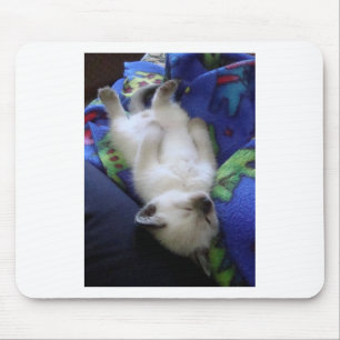 Lat katt musmatta