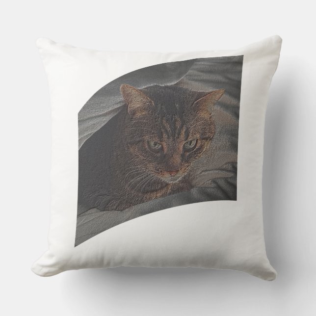 Låt katten vila kudde (Framsida)