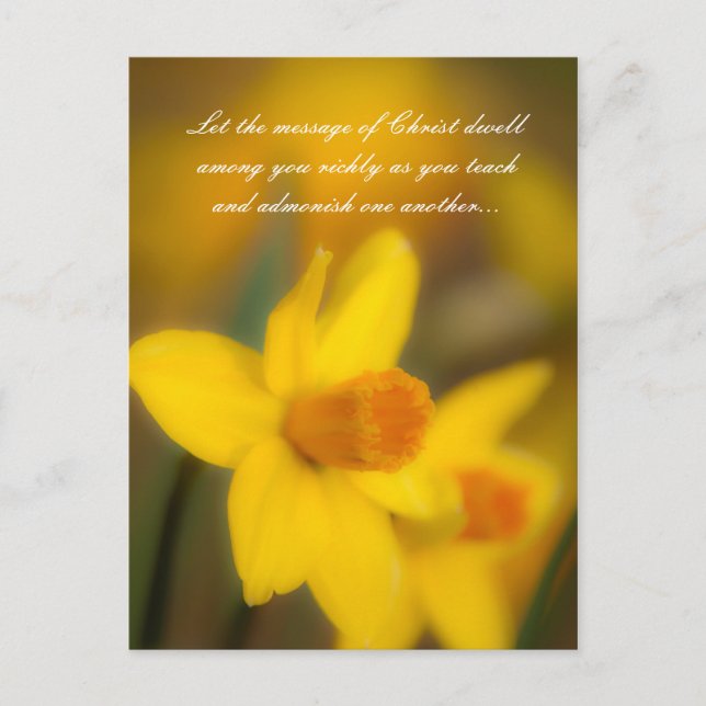 Låt Kristus budskap ljuda bland er på ett utmärkt  Vykort (Framsida)