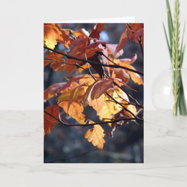 Låt ljuset skina igenom kort (Framsida)