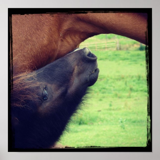 Låt mig berätta en hemlighet poster (Framsidan)