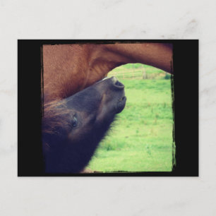 Låt mig berätta en hemlighet vykort