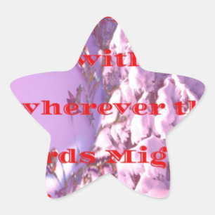 Låt mig flyga med dig till valentine.png stjärnformat klistermärke