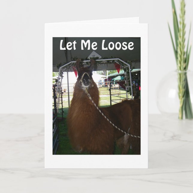 LÅT MIG FÖRLORA ATT SÄGA GRATTIS PÅ FÖDELSEDAGEN KORT (Framsida)