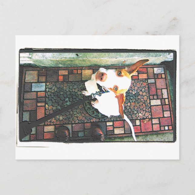 Låt mig komma in vykort (Framsida)