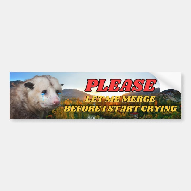 Låt mig koppla innan jag börjar Gråta - Possum Bildekal (Framsidan)