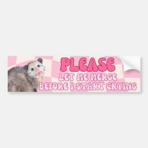 Låt mig koppla innan jag börjar Gråta - Possum Bildekal