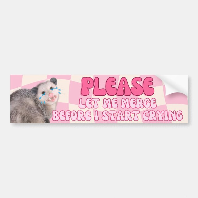 Låt mig koppla innan jag börjar Gråta - Possum Bildekal (Framsidan)