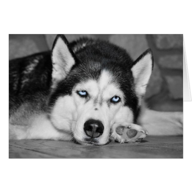 Låt mig sova. OBS kort (Framsidan Horizontal)