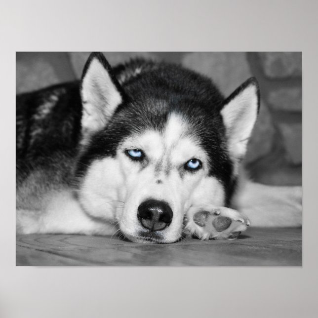 Låt mig sova. poster (Framsidan)