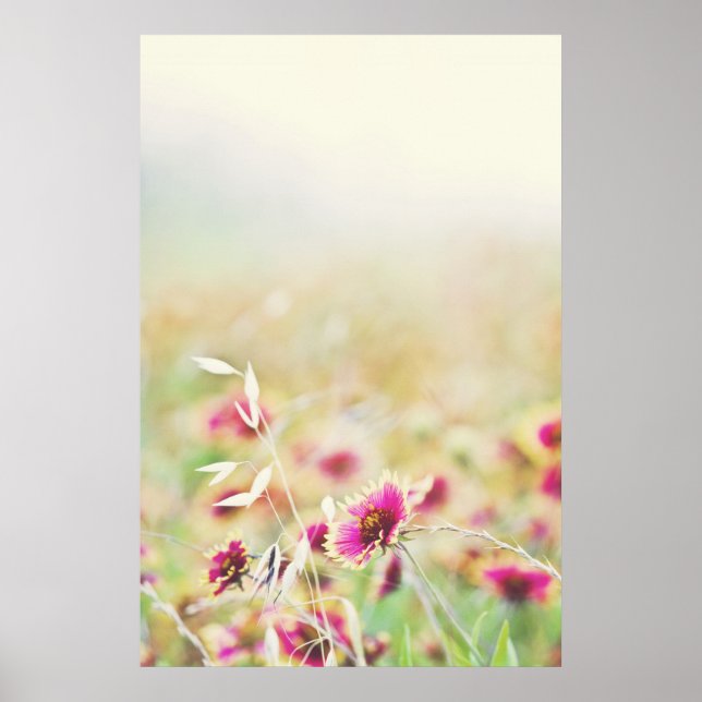 Låt naturen göra poster (Framsidan)