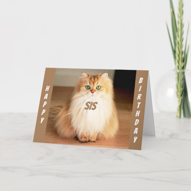 **LÅT OSS CELEBRAT DIG SYRRAN** BREDDA ÖGAT KATTSA KORT (Framsida)