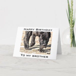 LÅT OSS CELEBRAT DIN BIRTHDAY BROTHER KORT