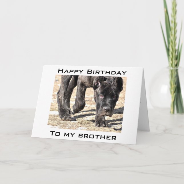 LÅT OSS CELEBRAT DIN BIRTHDAY BROTHER KORT (Framsida)
