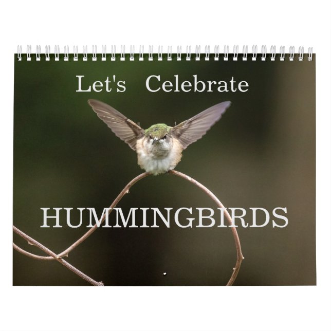 Låt oss Celebrate Hummingbird Kalender (Omslag)