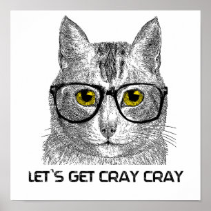 Låt oss få Cray Cray Poster