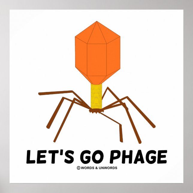 Låt oss Go Phage Virus Bakteriofag Poster (Framsidan)