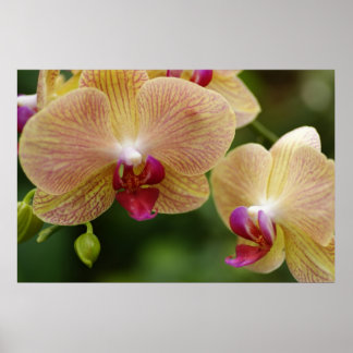 Låt oss hålla ihop poster