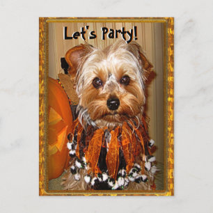 Låt oss Party för Halloween Yorkie Inbjudan Vykort