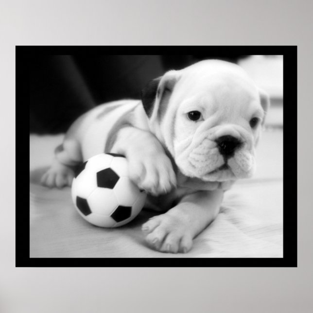 "Låt oss Play Soccer" English Bulldog Poster (Framsidan)