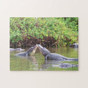 Låt oss Rumble - Vår med Gators! - Alligator Pussel