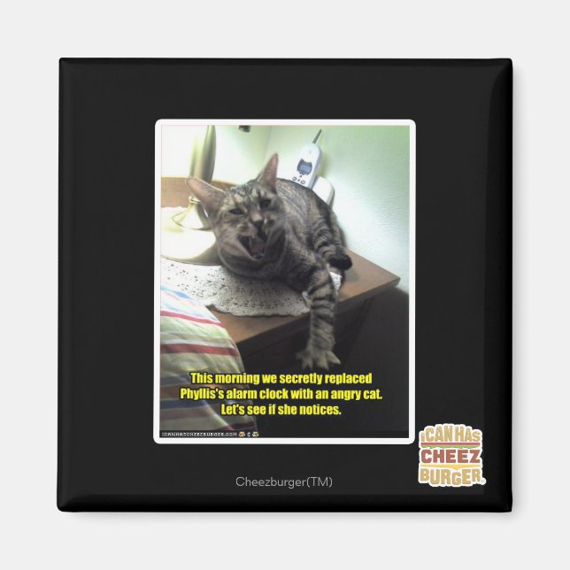 Låt oss se om hon märker det. magnet (Framsidan)