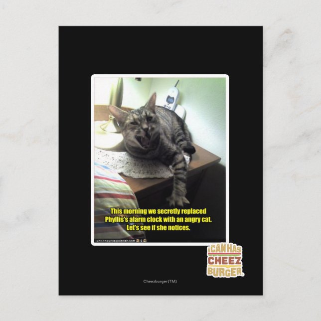 Låt oss se om hon märker det. vykort (Framsida)