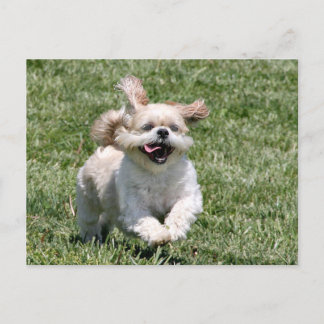 Låt oss spela tillsammans vykort