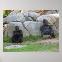 Låt oss Vänta och se