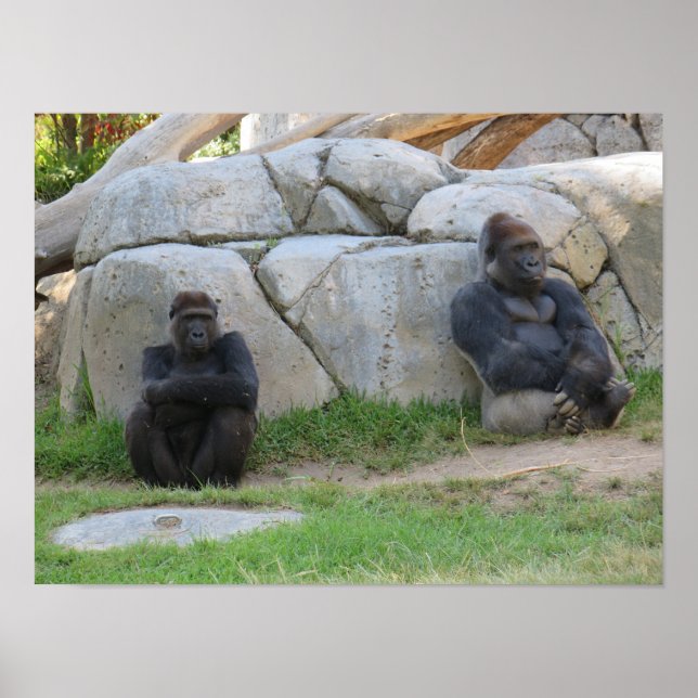 Låt oss Vänta och se Poster (Framsidan)